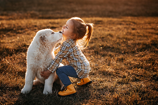 National Canine Advocacy Group Colorado Dog Puppy Rescue Foster Shelter Animal Welfare Policy Research